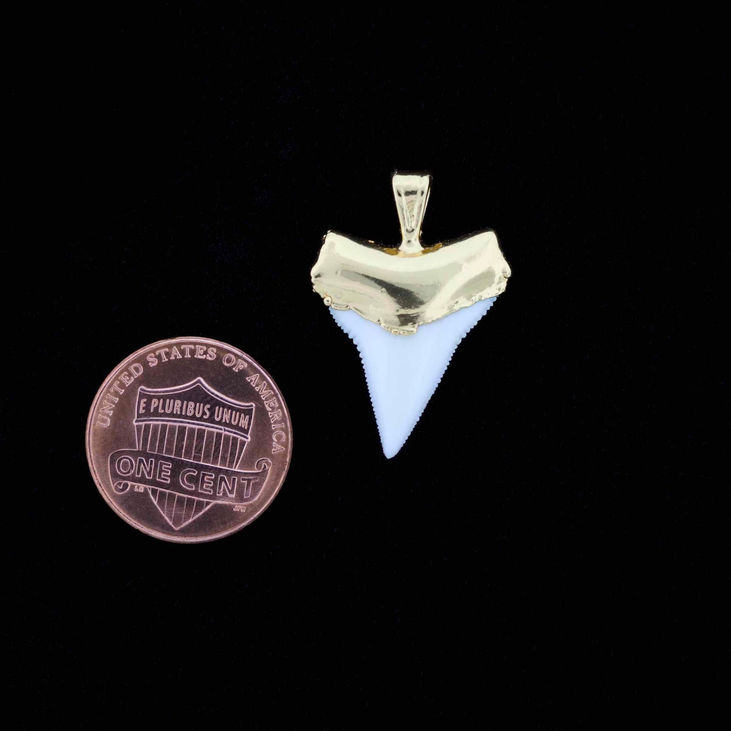 7/8" Oceanic White Tip Shark Tooth Pendant - 18K Gold Electroformed