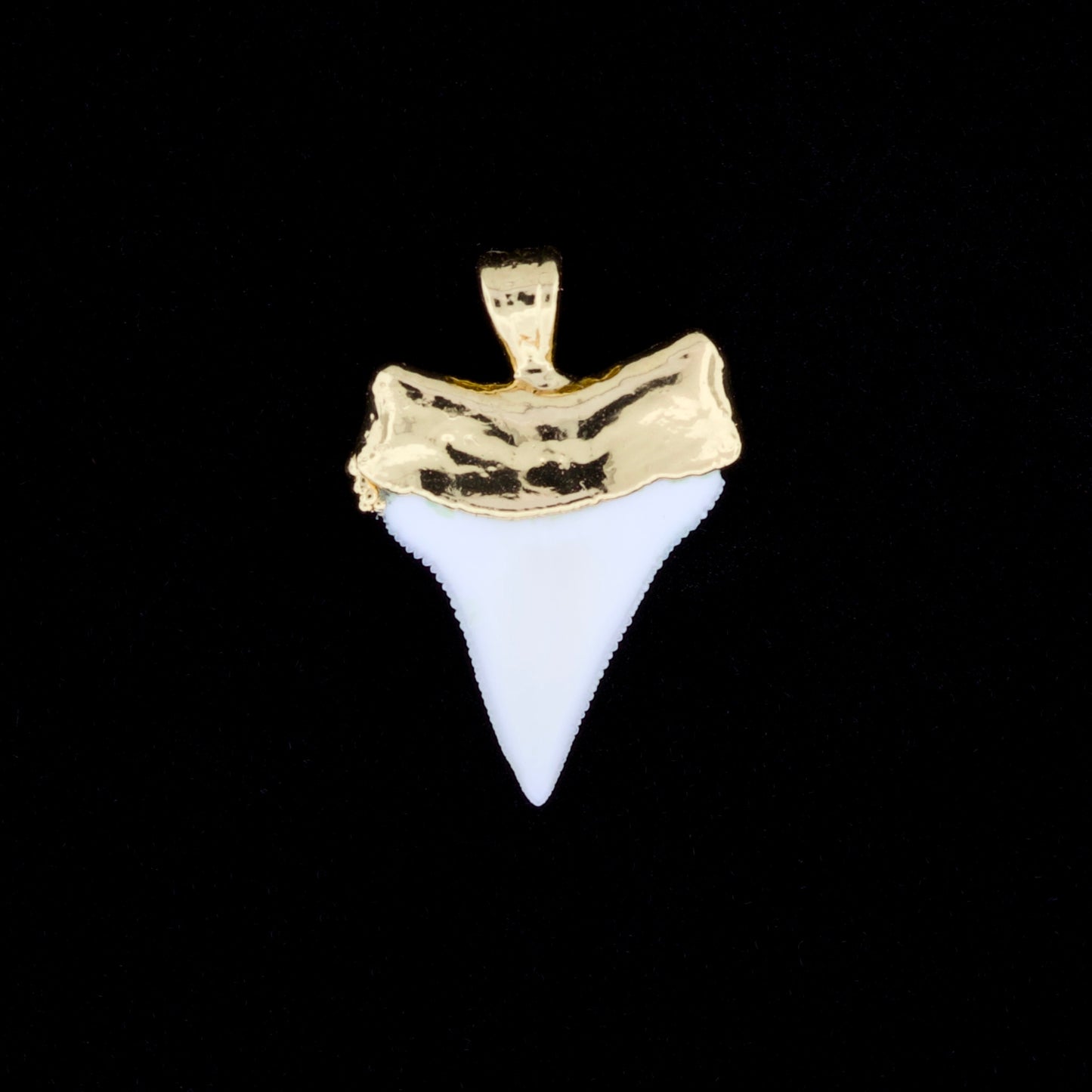 7/8" Oceanic White Tip Shark Tooth Pendant - 18K Gold Electroformed