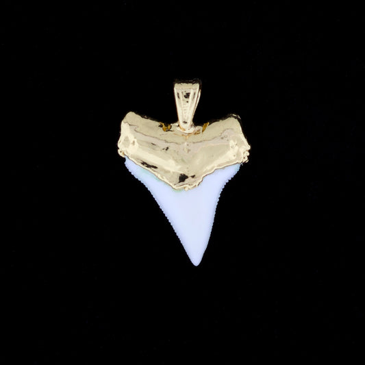 7/8" Oceanic White Tip Shark Tooth Pendant - 18K Gold Electroformed