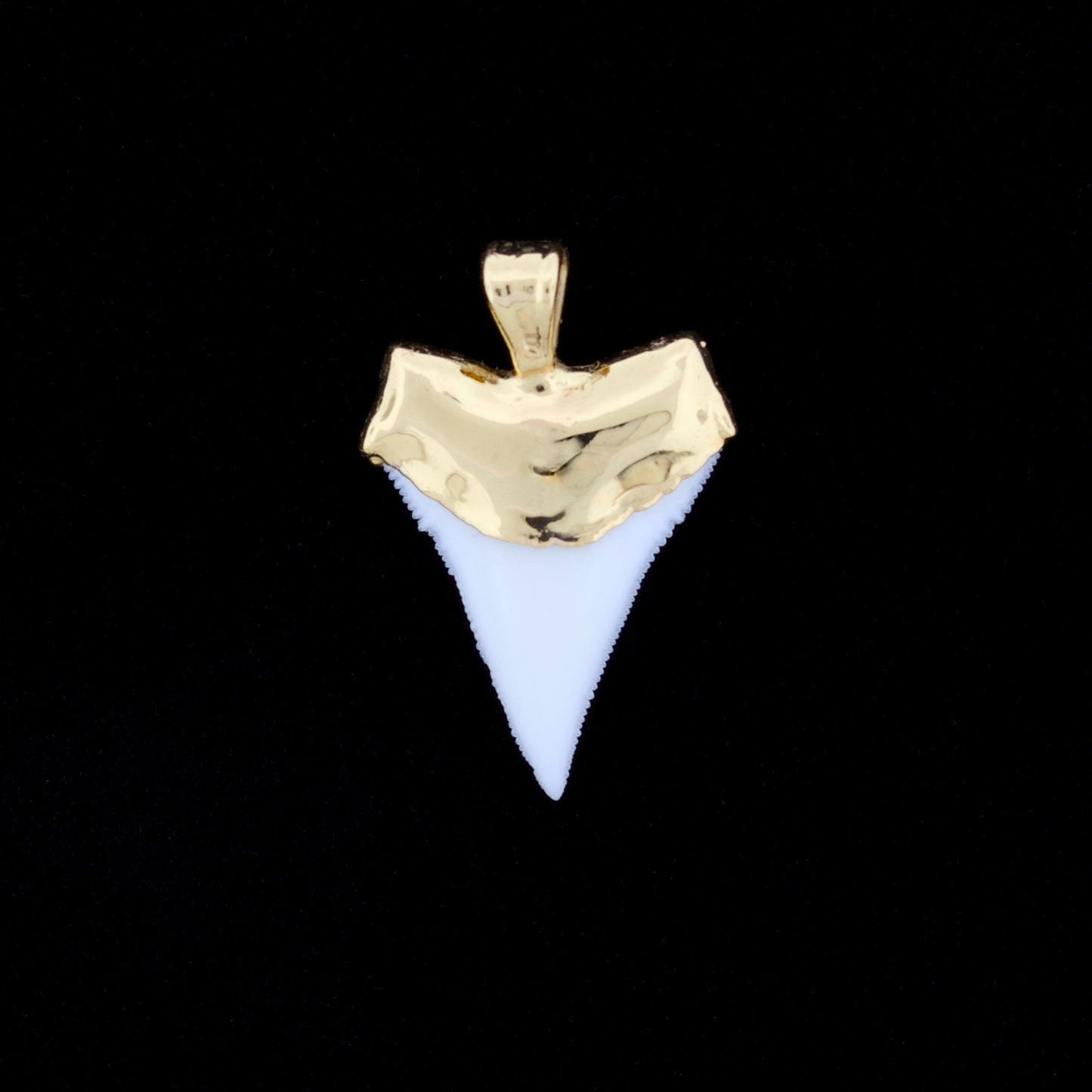 7/8" Oceanic White Tip Shark Tooth Pendant - 18K Gold Electroformed