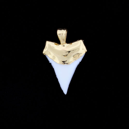 7/8" Oceanic White Tip Shark Tooth Pendant - 18K Gold Electroformed