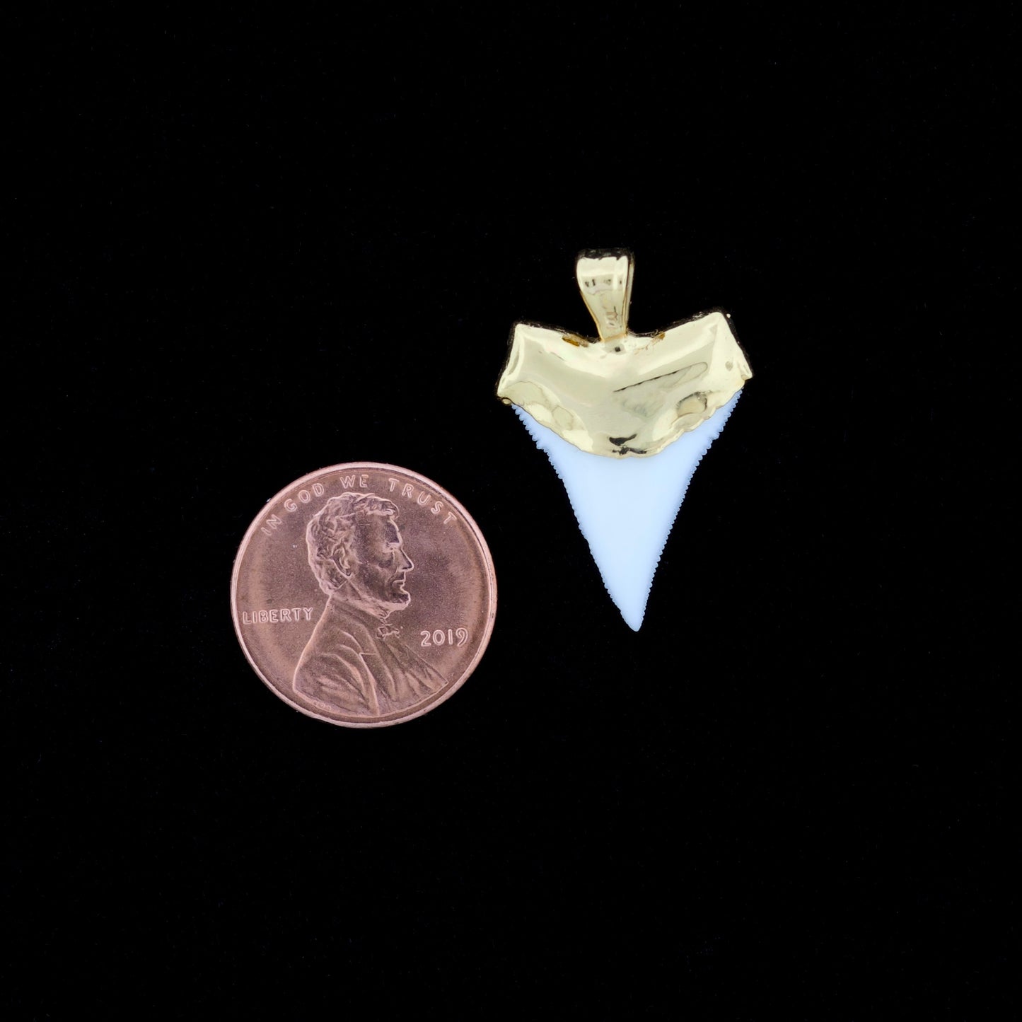 7/8" Oceanic White Tip Shark Tooth Pendant - 18K Gold Electroformed
