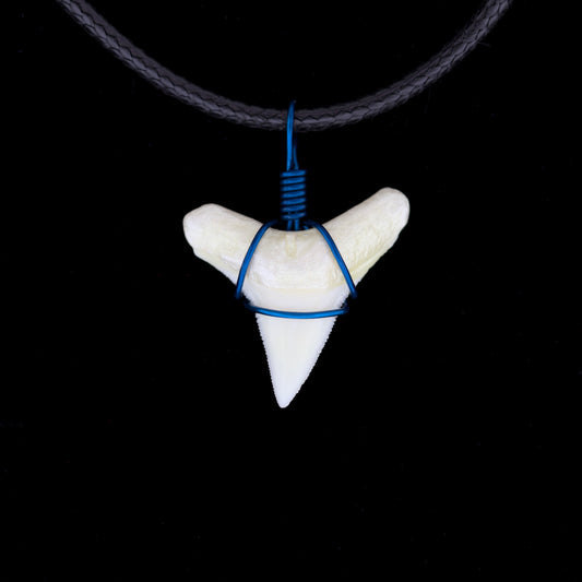 7/8" Modern Bull Shark Tooth Necklace – Color Wire-Wrap, Pearlescent Root