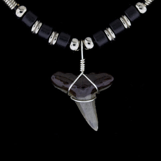 1" Fossil Lemon Shark Tooth Necklace – Black & Silver-Tone Beads