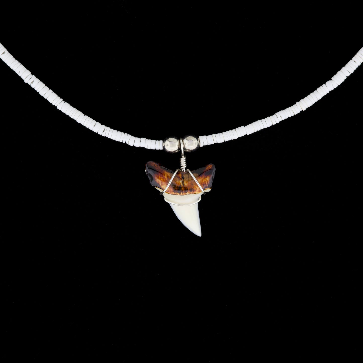 1-1/8" Modern Mako Tooth Necklace – Small Moon Shell Heishi
