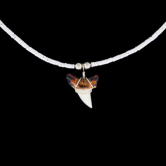 1-1/8" Modern Mako Tooth Necklace – Small Moon Shell Heishi