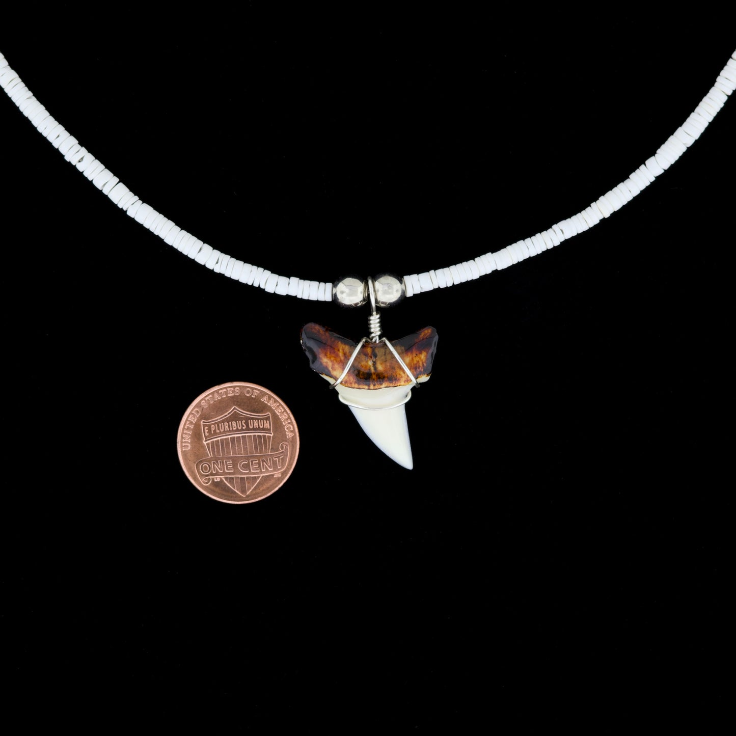 1-1/8" Modern Mako Tooth Necklace – Small Moon Shell Heishi