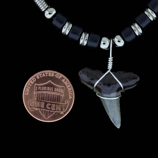 1" Fossil Lemon Shark Tooth Necklace – Black & Silver-Tone Beads