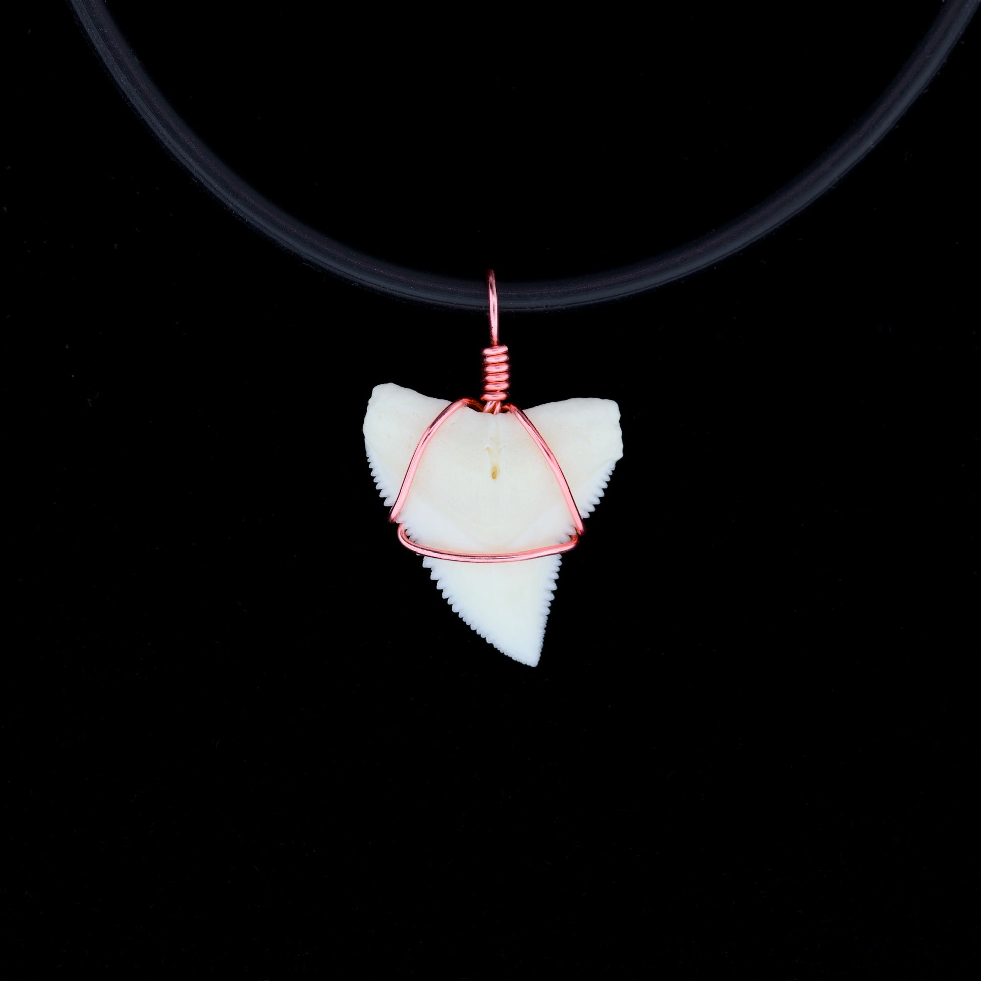 White bull shark tooth pendant with pink wire on a black background